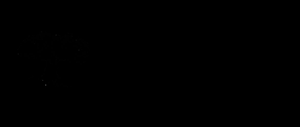 Logo_TTF_black.png