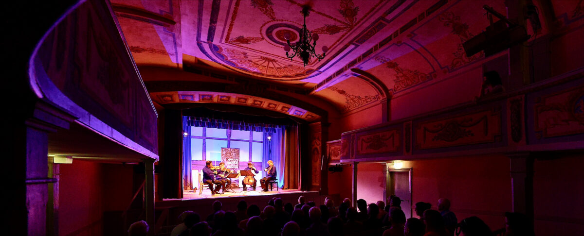 WeissenhornKlassikFestival©Alexander_Kaya.jpeg