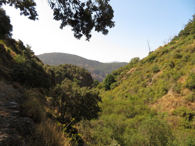 paisaje (3).JPG
