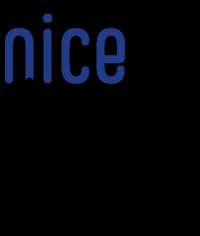 logo Nice Dance Film.png