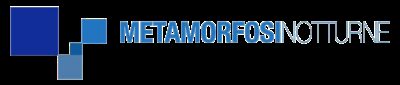 logo met nott TRANSPerini.png