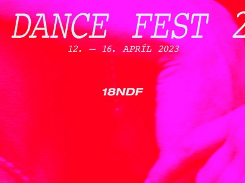 banner NDF2023_18th edition .png