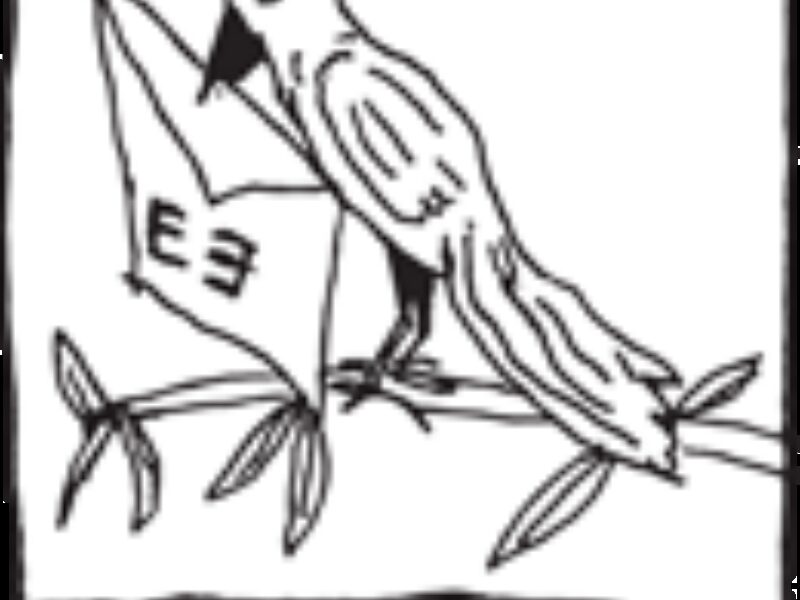 EB-pticica.png