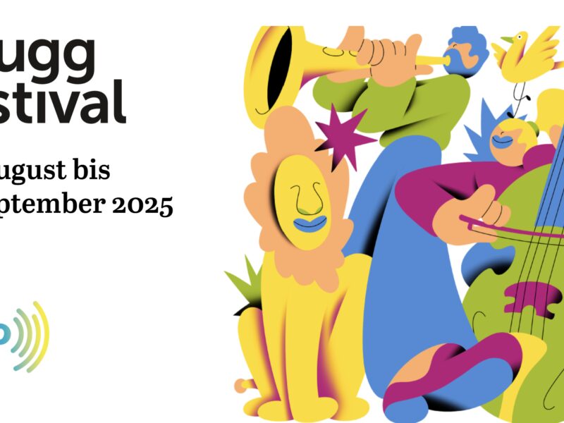brugg fest image.png