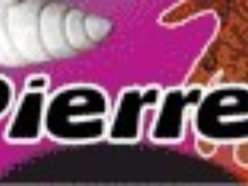 logo-art-pierre-terre (3).jpg