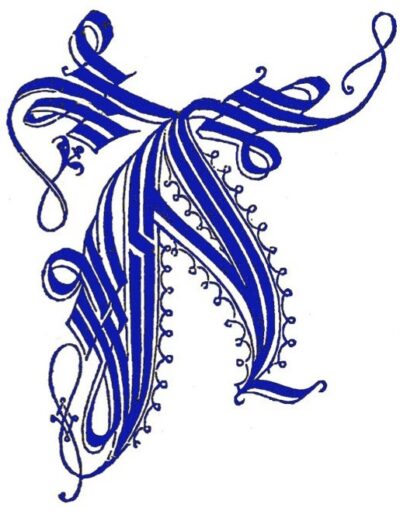 Logo Amami 3