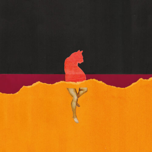 Gato Vermelho 2 1600X1600