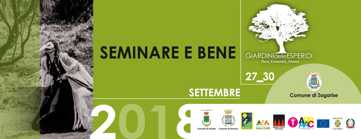 820 X312 Immagine Portante