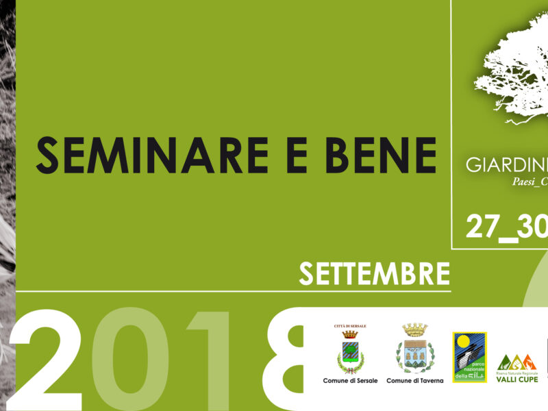 820 X312 Immagine Portante