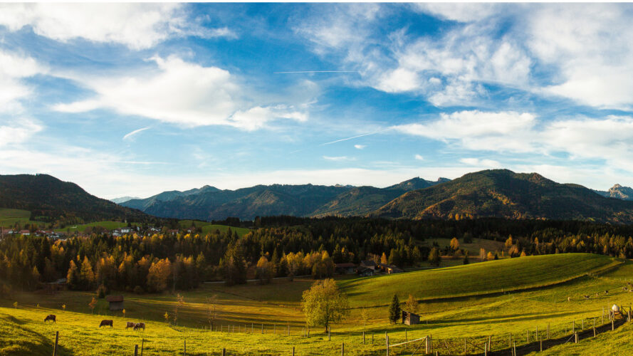 Blick Über Moor Weniger Breit