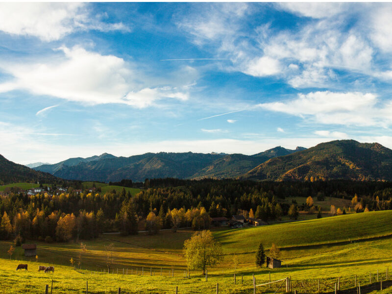 Blick Über Moor Weniger Breit