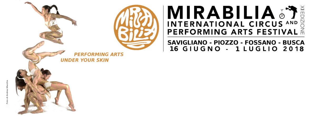 Mirabilia3 30 X 11 3