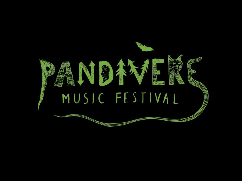 Pandivere Roheline Ing