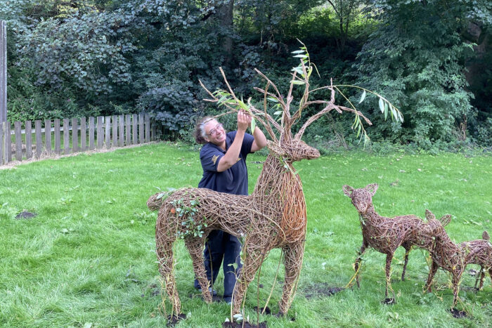 Holmfirth festival story 2