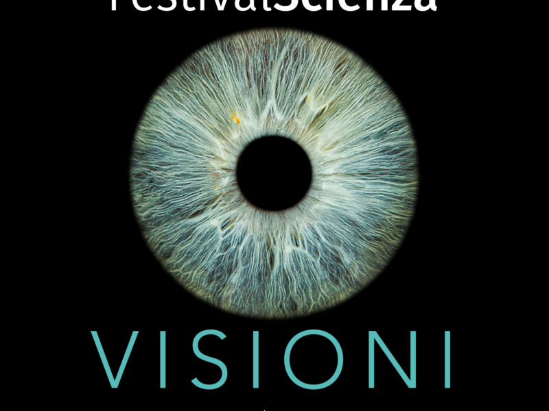 Visual FS 2026