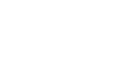 POLIS_Logo_Verticale_BiancoTrasparente_400px.png