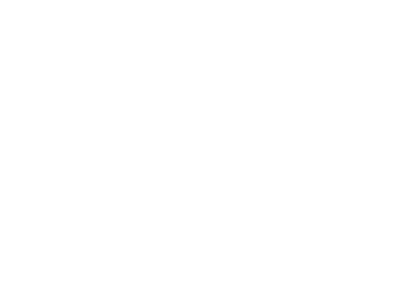 SG-LOGO-20241.png