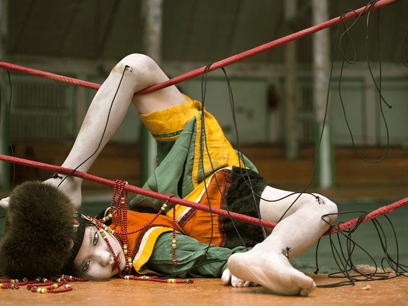 1200x630 deling af link Pinocchio.jpg